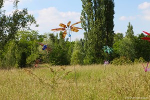 Flowers of Change de Pierre Estève, exposée à Sevran lors des Rendez-vous aux Jardins